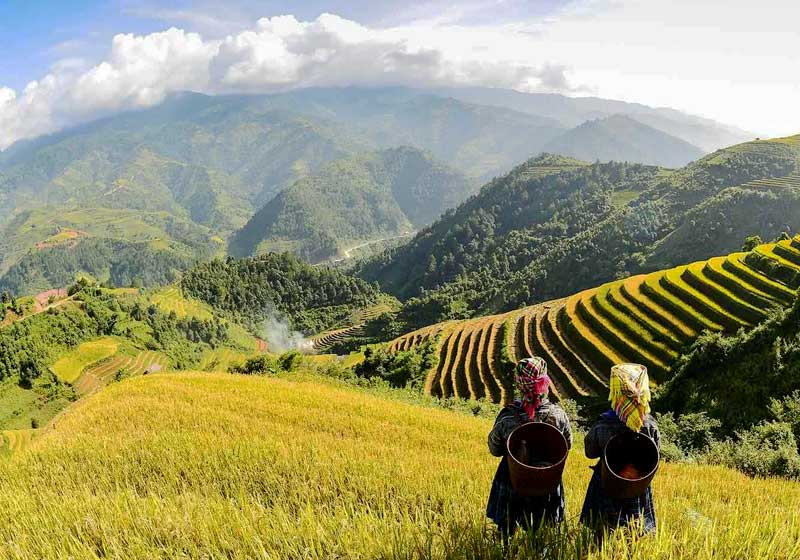 when is the best time to visit sapa